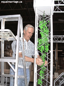 John Crisp decorates the frame of the float with "greenery" for our outdoor look.   (Photo be equalmarriage.ca, 2002)