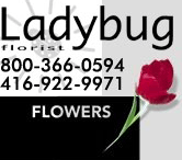 External link to Ladybug Florist